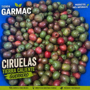 CIRUELA FRESCA  CHAROLA (TEMPORADA)