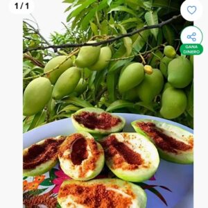 MANGO VERDE (TEMPORADA) 600 GRS